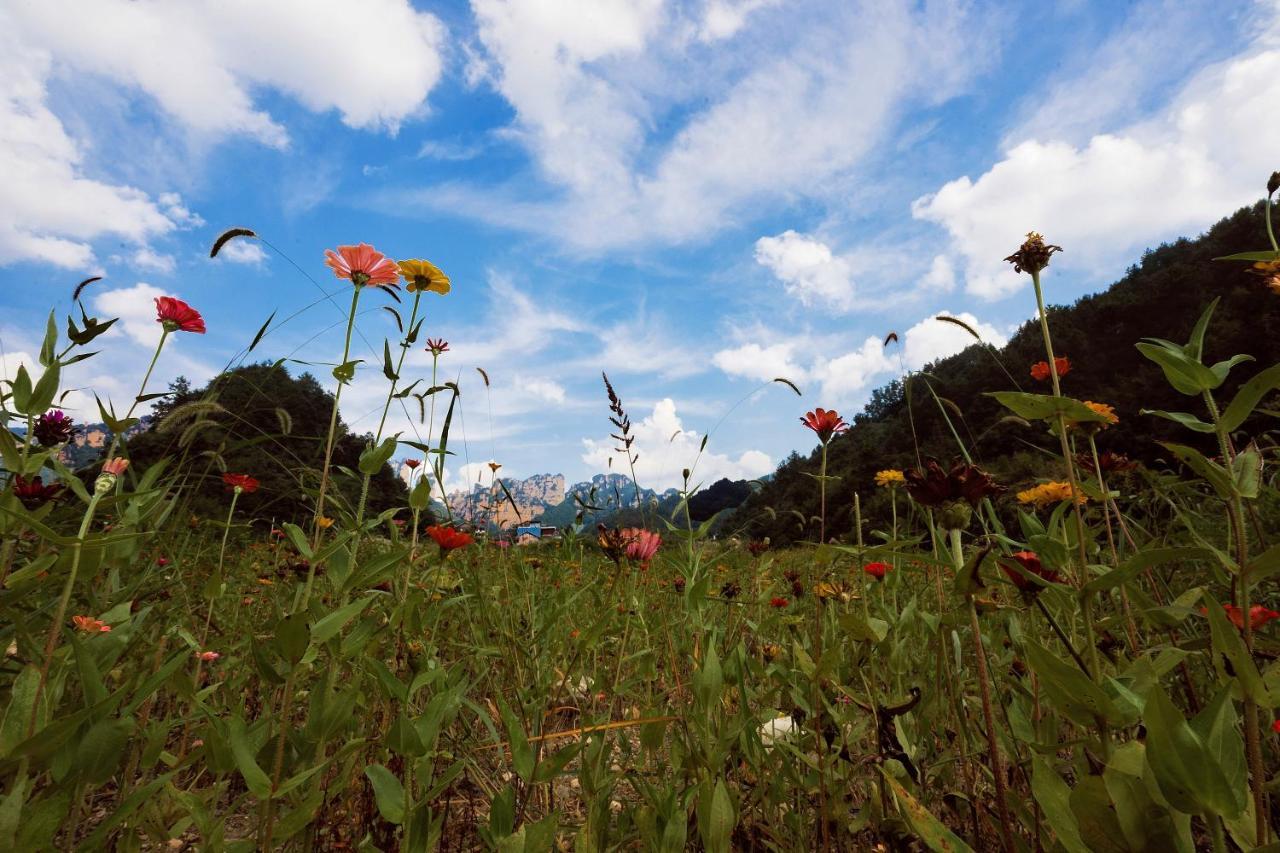 Whispering Mountains Boutique Hotel Zhangjiajie Exteriör bild